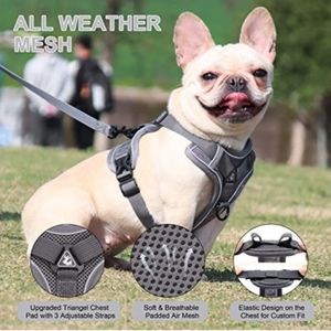 Reflective Adjustable Pet Vest Harness for Small Dogs Cats (Chest 12.5-18")